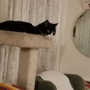 Meet your Posher, Tom